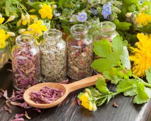Plantes médicinales en pots — naturopathie